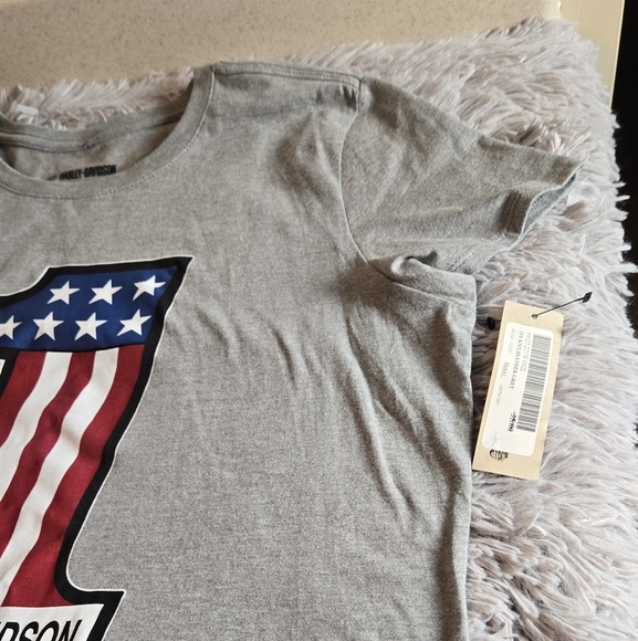 Harley-Davidson Gray Graphic Retro Tee Size XL - Picture 2 of 12